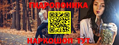 ALPHA PVP Ярославль