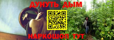 ALPHA PVP Ярославль