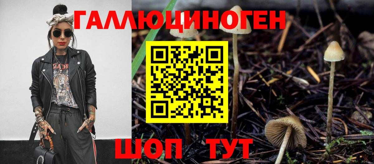 цены   Галлюциногенные грибы Psilocybe  Вход с VPN  Псков 
